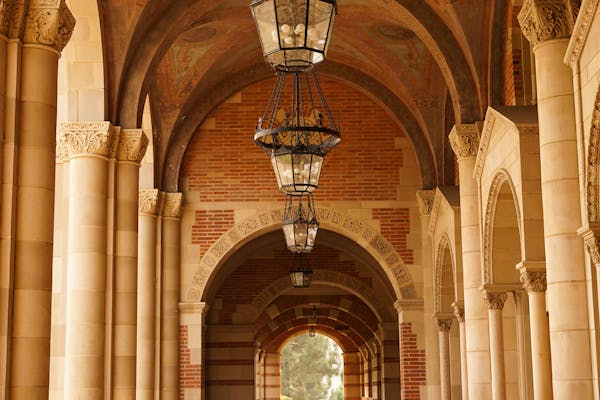 university